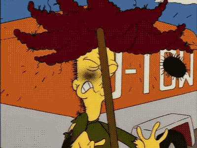 The character "Sideshow Bob" from the cartoon show The Simpsons steps on a rake, hitting him in the face